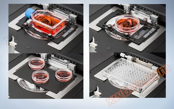 可容纳细胞培养容器的品种