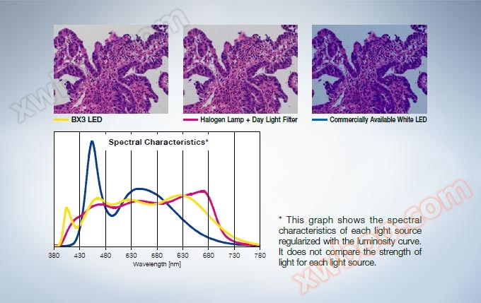 为病理学和细胞学设计