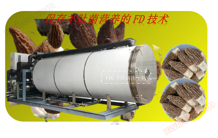 Technologie mrazivého sušení ovčího břicha a charakteristiky zařízení mrazivého sušení ovčího břicha