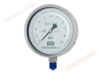 완전 스테인리스강 정밀표