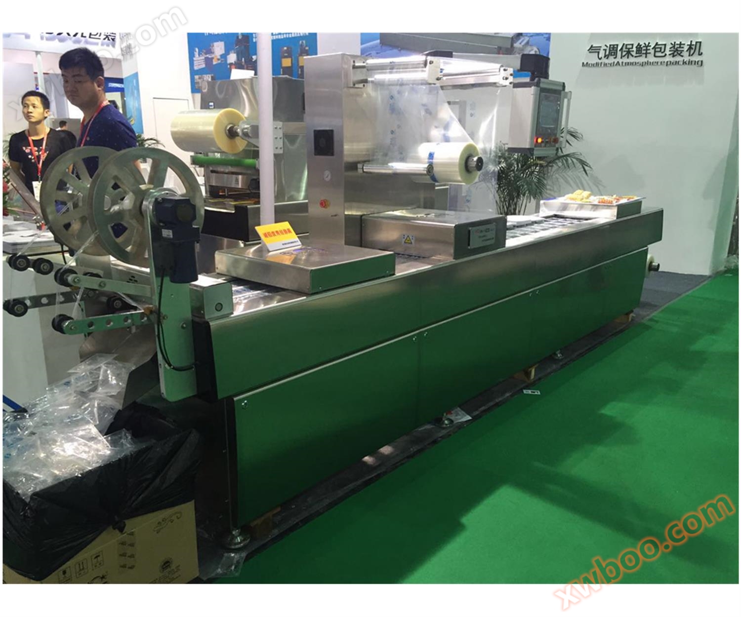 Máy đóng gói chân không màng căng DLZ320 (bánh quy nén)