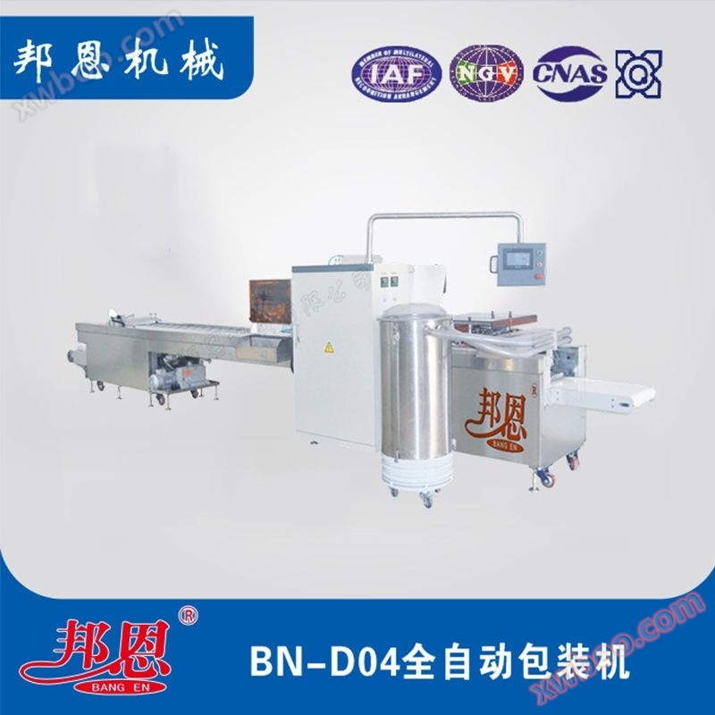 BN-D04 Four sided Sealing Packaging Machine